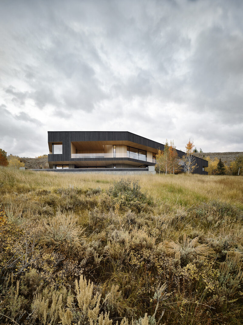 A modern, low-profile house with black siding and recessed balconies set in a field of dry, tall grasses under a cloudy sky.