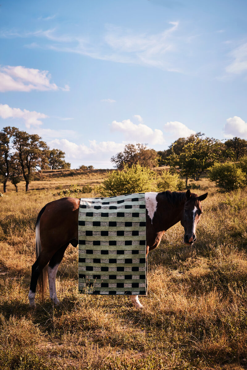 A brown and white horse stands in a grassy field with a green and white checkered blanket draped over its back.