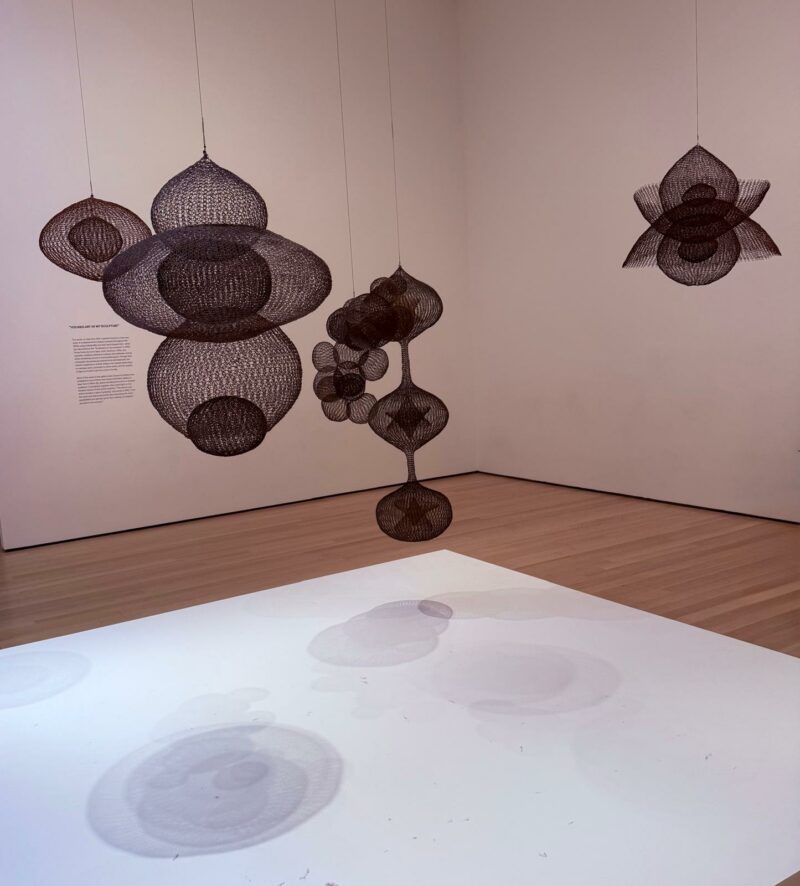 Four wire mesh sculptures of abstract, organic shapes hang in a gallery; their shadows are cast on the wood floor and a white platform below.