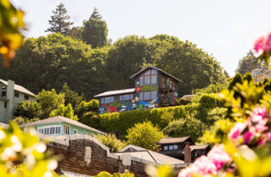 A 1910 Seattle Beach House Gets a Colorful Makeover